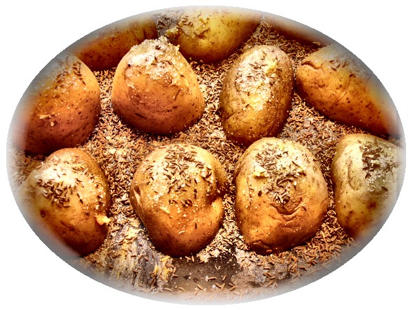 blechkartoffeln